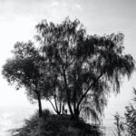建築風景写真家迎崇個展「久遠」