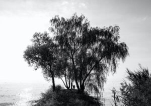 建築風景写真家迎崇個展「久遠」