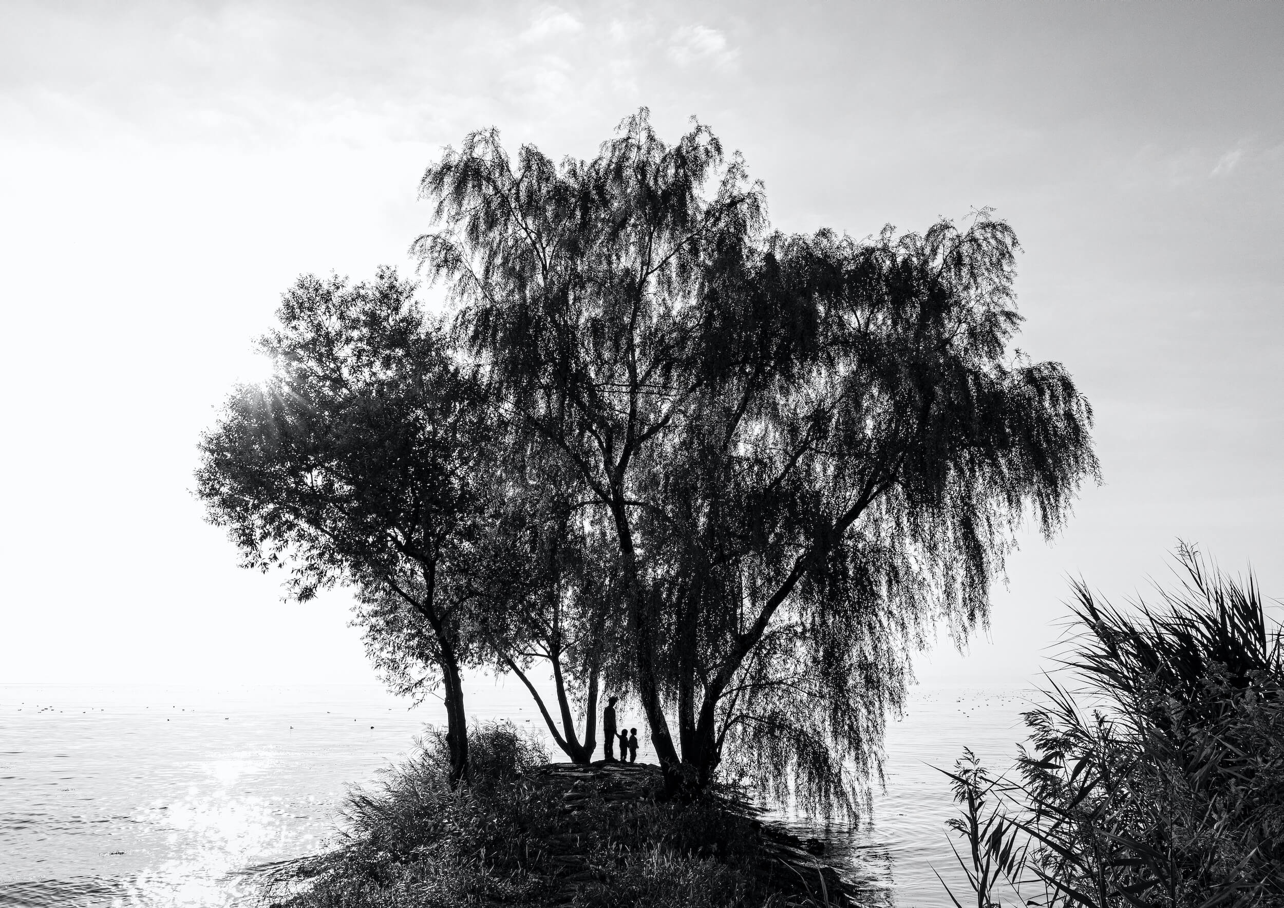 建築風景写真家迎崇個展「久遠」
