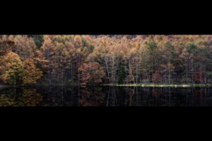 α会写真展 （グループ展）
