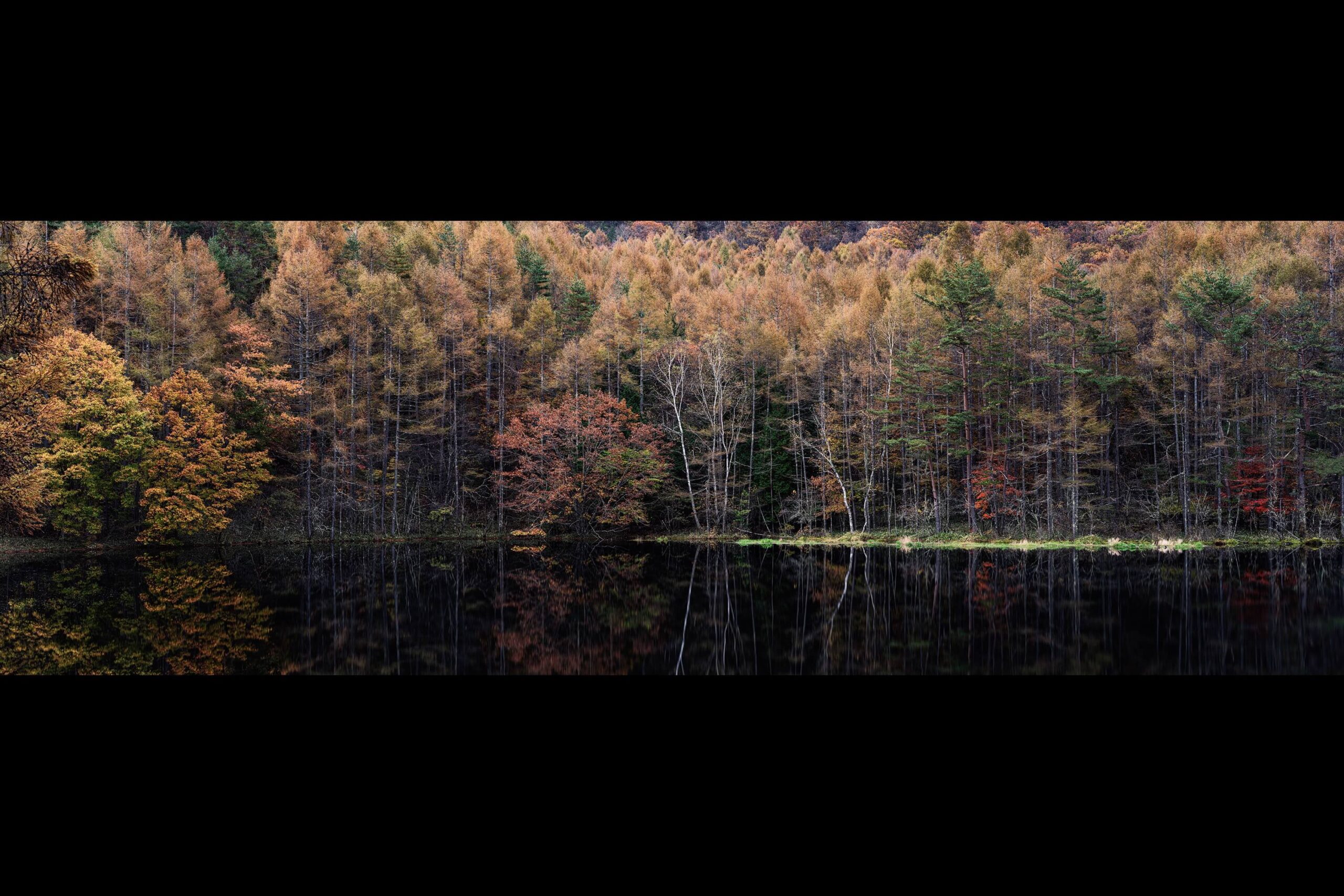 α会写真展 （グループ展）